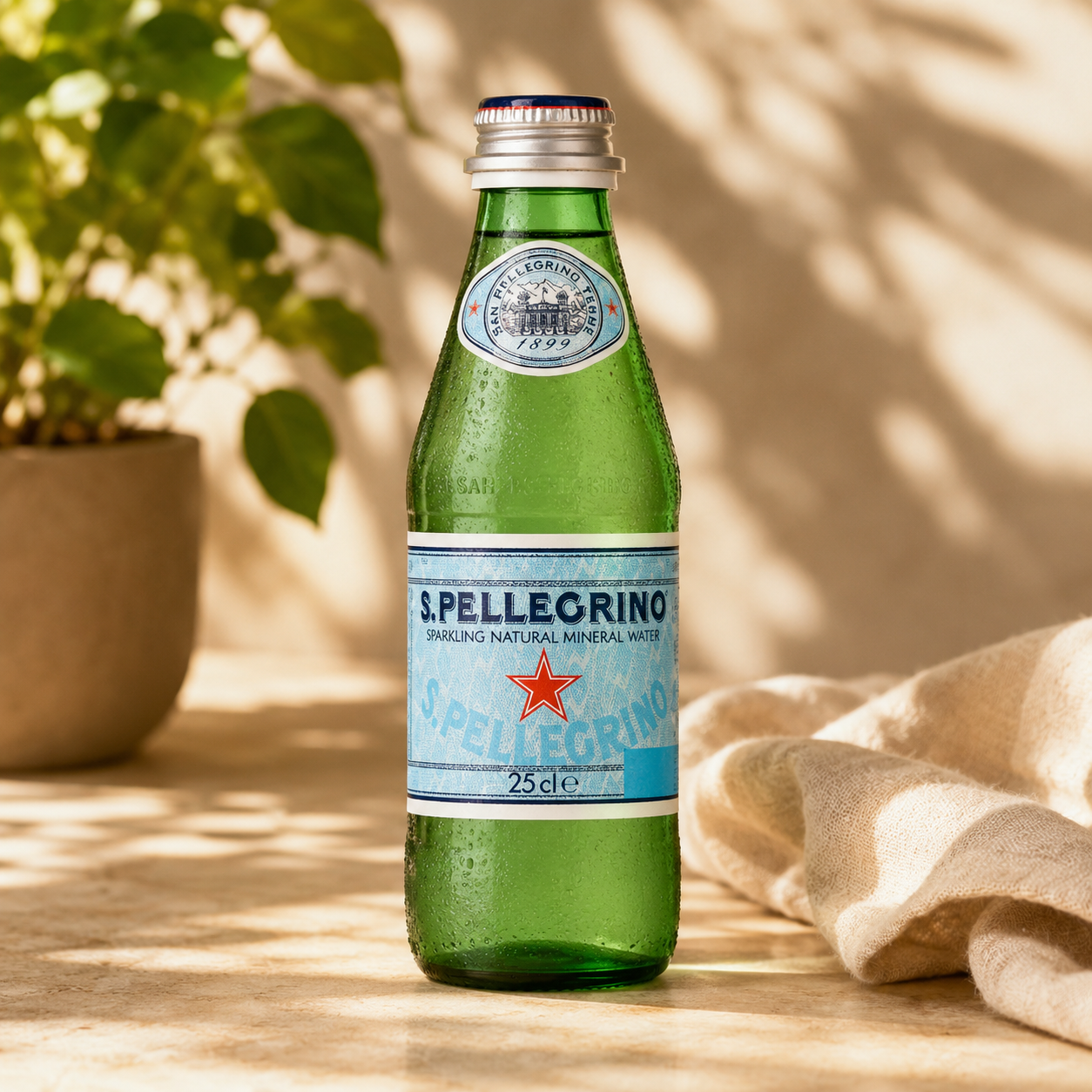 S.Pellegrino Sparkling Water 250 ml