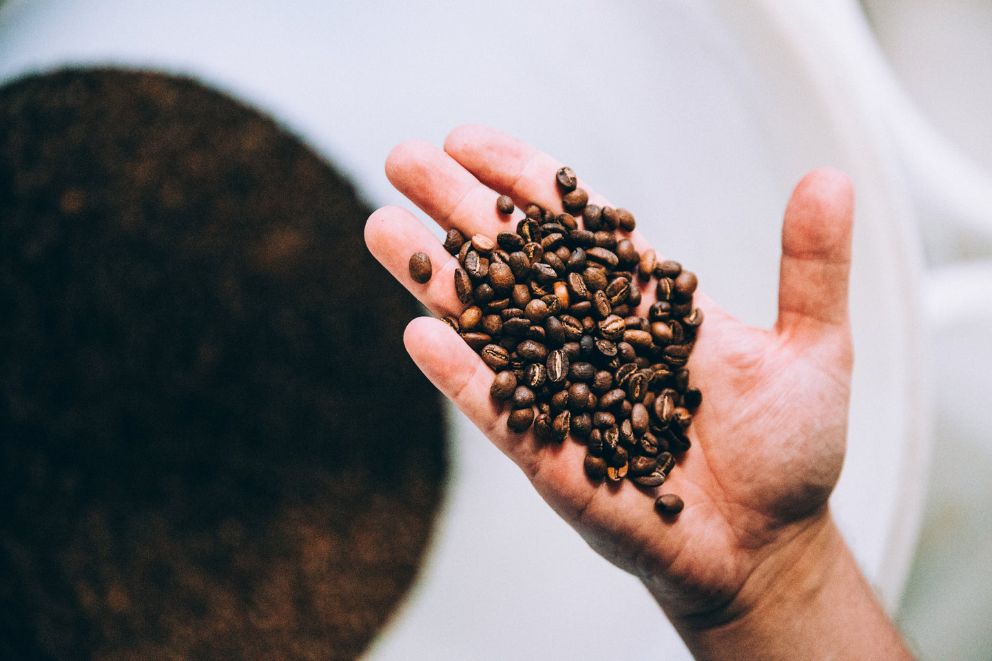 Demystifying the Art of Coffee Roasting: A Comprehensive Guide