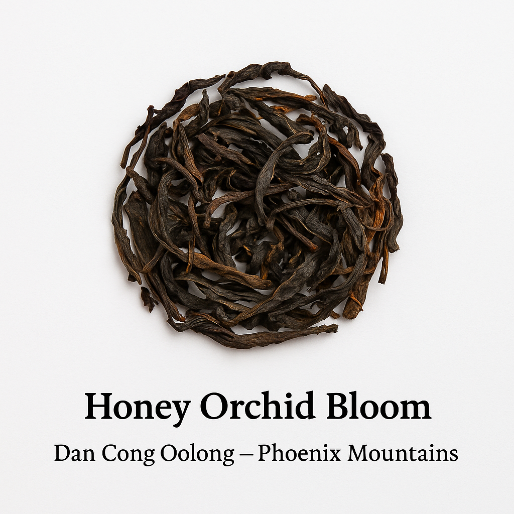 Honey Orchid