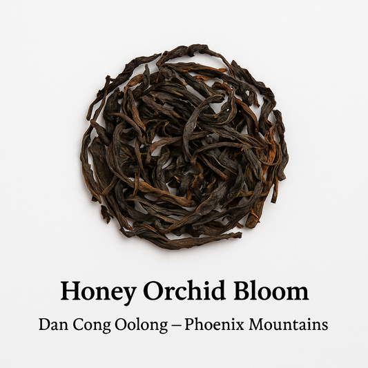 Honey Orchid